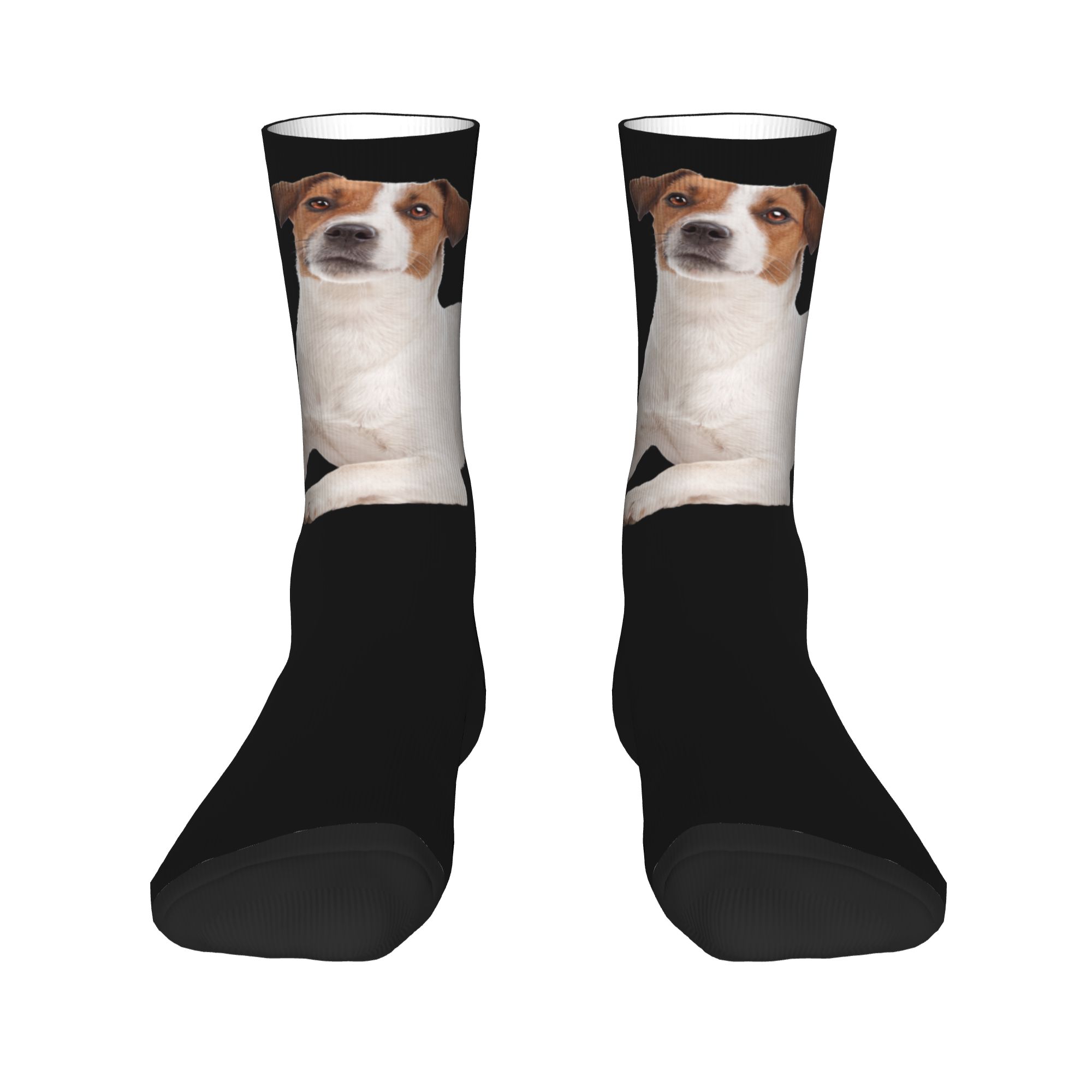 Custom Jack Russell Terrier Do - Dress Sock Men ulasan dan harga