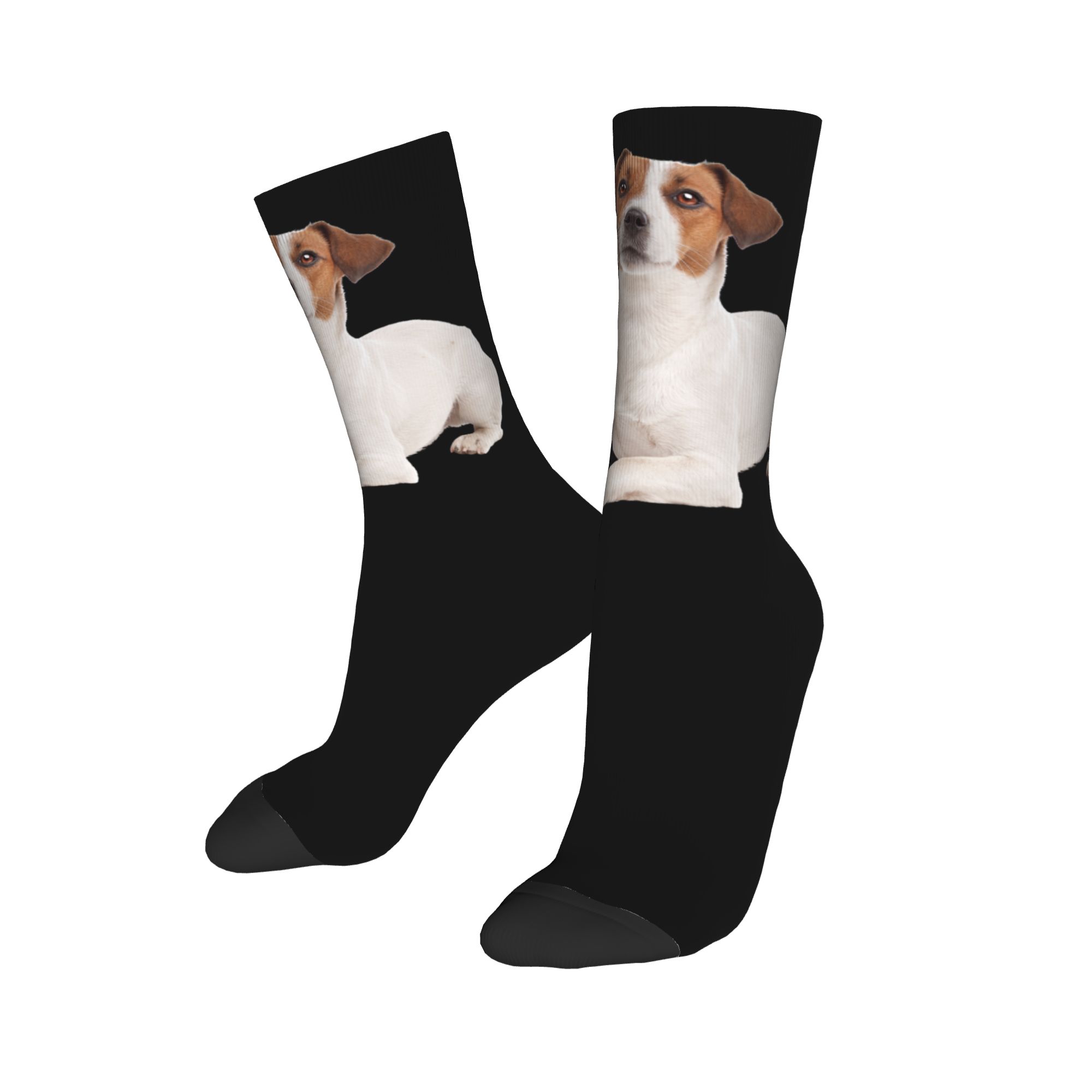 Custom Jack Russell Terrier Do - Dress Sock Men ulasan dan harga