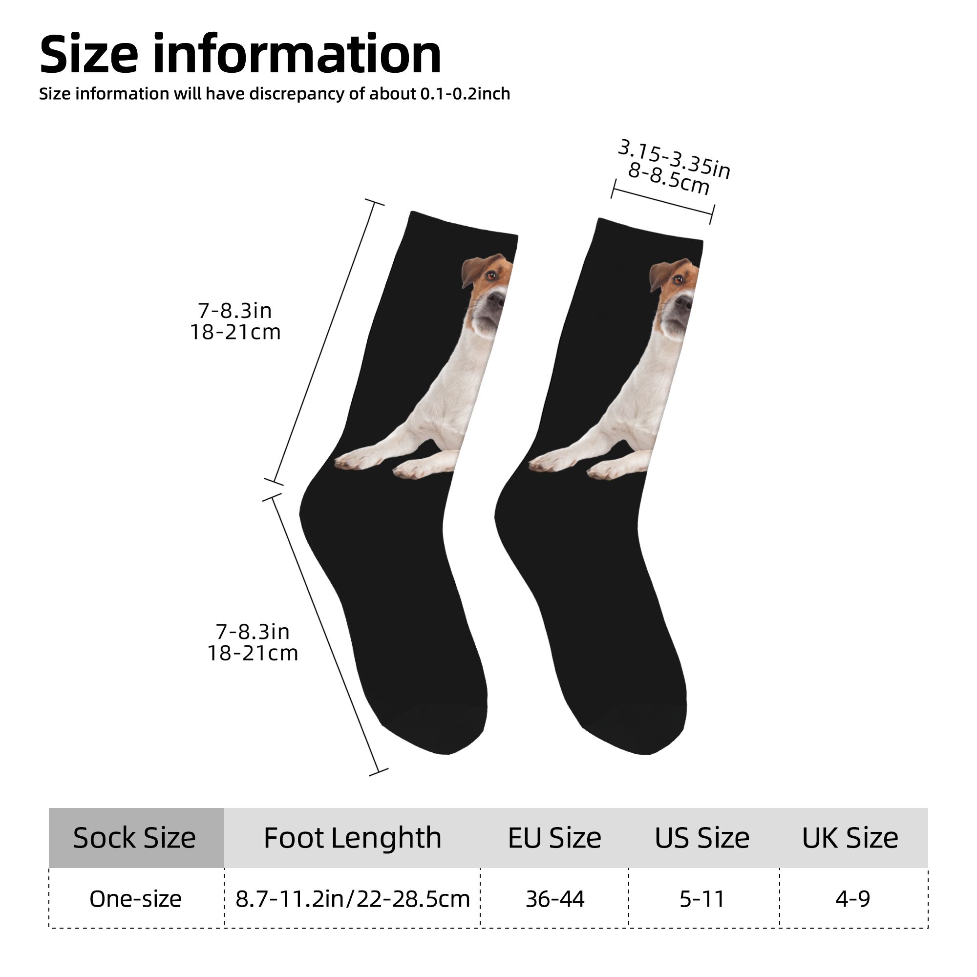 Custom Jack Russell Terrier Do - Dress Sock Men ulasan dan harga